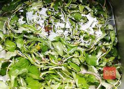 凉拌蒲公英的做法图解1