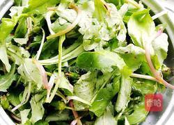 凉拌蒲公英的做法图解2