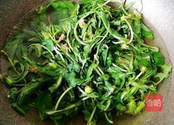 凉拌蒲公英的做法图解3