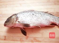 松鼠桂鱼的做法图解1