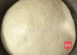 芝士肉松面包的做法图解3