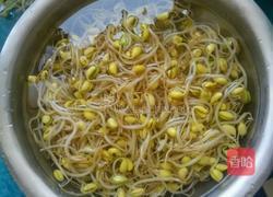 豆芽蒜苗五花肉的做法图解1