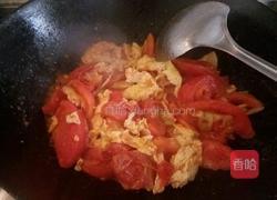 无糖版番茄炒蛋的做法图解10