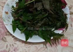 脆炸香椿的做法图解1