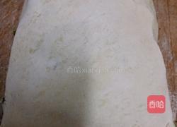 葱花肉饼的做法图解17