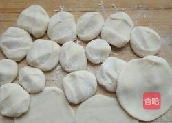 苦苦菜大肉饺的做法图解5