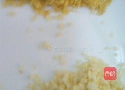 蒜蓉粉丝开背虾的做法图解5