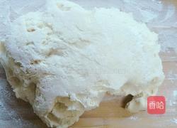 素菜包子的做法图解8