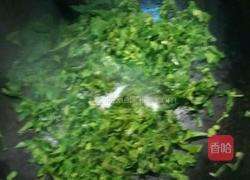 香椿炒鸡蛋的做法图解4