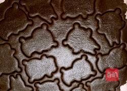 巧克力熊猫饼干的做法图解8