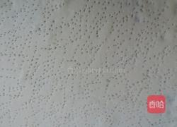 自制美味芦笋肘花火腿披萨的做法图解2