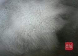 油煎酸菜饺的做法图解1