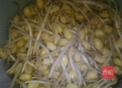 蒸黄豆芽的做法图解1