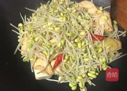 豆芽红烧豆腐的做法图解7