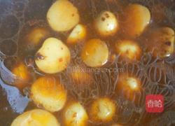 小土豆焖米线的做法图解5