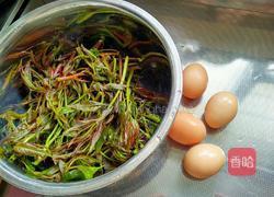 香椿炒鸡蛋的做法图解1