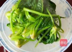 肉丝菠菜的做法图解4