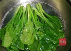 菜心的做法图解1