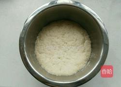 妈妈麻酱饼的做法图解3