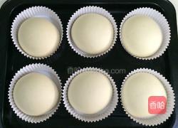 葡萄干椰蓉泡浆面包的做法图解9