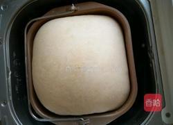 椰蓉面包的做法图解6