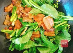 腊肉炒菜苔的做法图解8