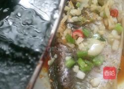清蒸鲫鱼的做法图解8