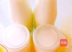 自制酸奶的做法图解12