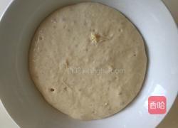 波兰种吐司的做法图解3