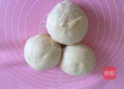 波兰种吐司的做法图解9