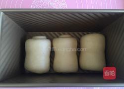 波兰种吐司的做法图解13