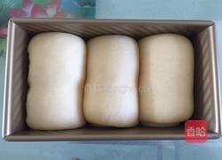 波兰种吐司的做法图解14