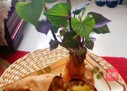 老屋私房菜空气炸锅版烤地瓜的做法图解4
