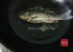 西红柿鲫鱼汤的做法图解2