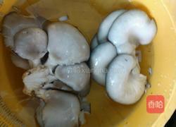 白菜蘑菇汤的做法图解1