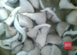 白菜蘑菇汤的做法图解4