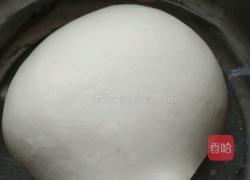 苦苦菜大肉饺的做法图解4