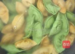 蔬菜汁饺子的做法图解15
