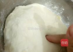 豆角肉末小包子的做法图解4