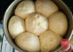 原味面包的做法图解6