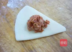 蝴蝶饺的做法图解3