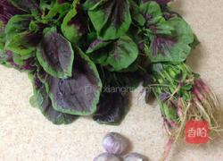 蒜香红苋菜的做法图解1