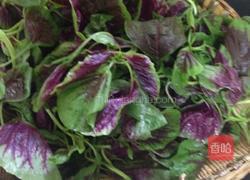 蒜香红苋菜的做法图解3