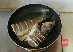 清炖鲈鱼的做法图解3
