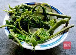 爆腌香椿的做法图解6