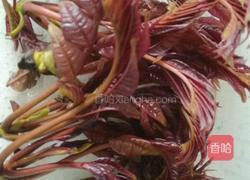 爆腌香椿的做法图解1