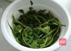 爆腌香椿的做法图解4