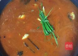 秘制红烧鸭(家庭版)的做法图解8