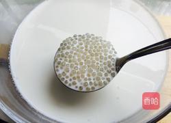 牛奶芒果西米露的做法图解10