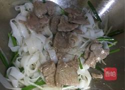 干炒牛河的做法图解5